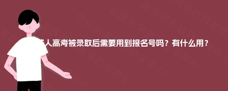 重庆成人高考被录取后需要用到报名号吗?有什么用? 重庆成人高考被录取后需要用到报名号吗?有什么用?
