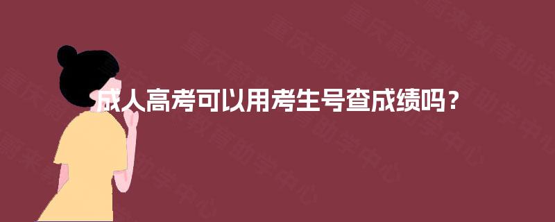 成人高考可以用考生号查成绩吗？