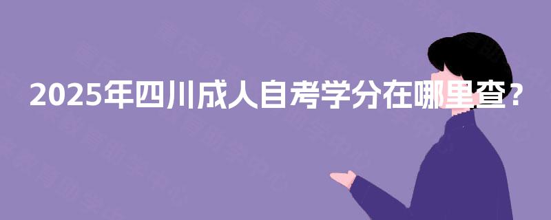 2025年四川成人自考学分在哪里查？