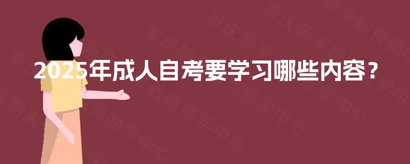 2025年成人自考要学习哪些内容？