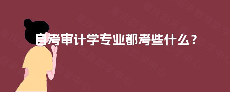 自考审计学专业都考些什么？