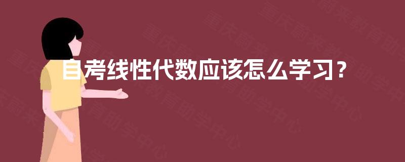 自考线性代数应该怎么学习? 自考线性代数应该怎么学习?