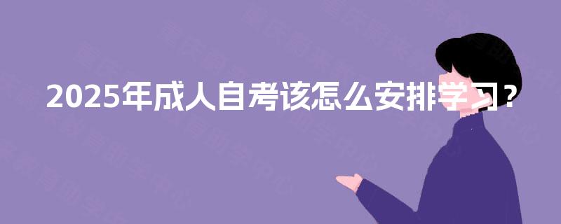 2025年成人自考该怎么安排学习？