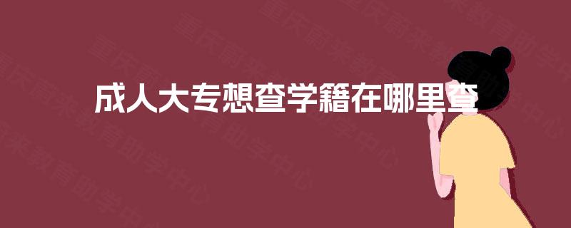 成人大专想查学籍在哪里查
