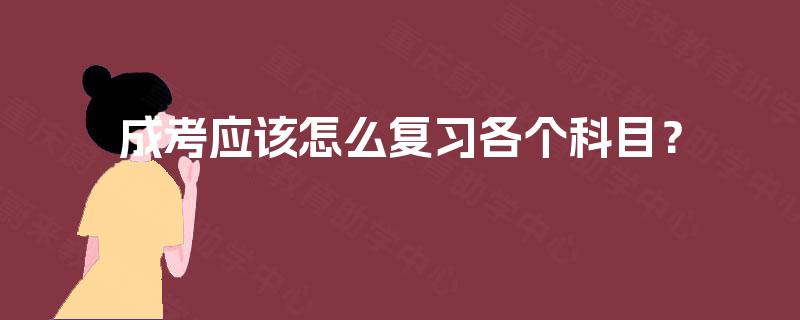 成考应该怎么复习各个科目？