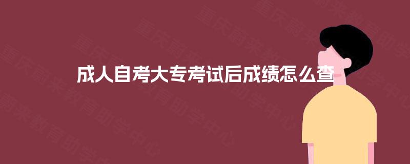 成人自考大专考试后成绩怎么查