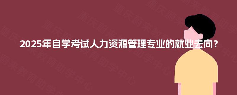 2025年自学考试人力资源管理专业的就业去向？
