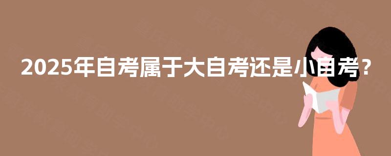 2025年自考属于大自考还是小自考？