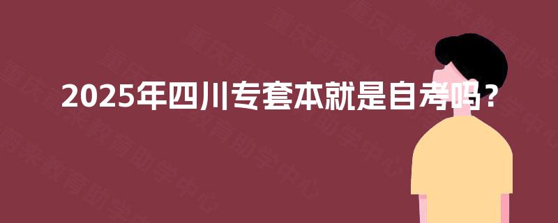 2025年四川专套本就是自考吗？