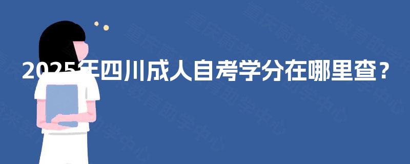 2025年四川成人自考学分在哪里查？