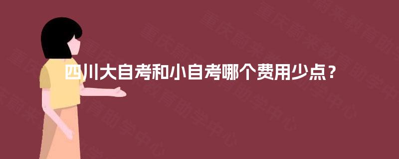 四川大自考和小自考哪个费用少点？