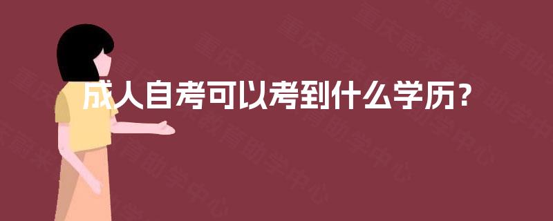 成人自考可以考到什么学历？