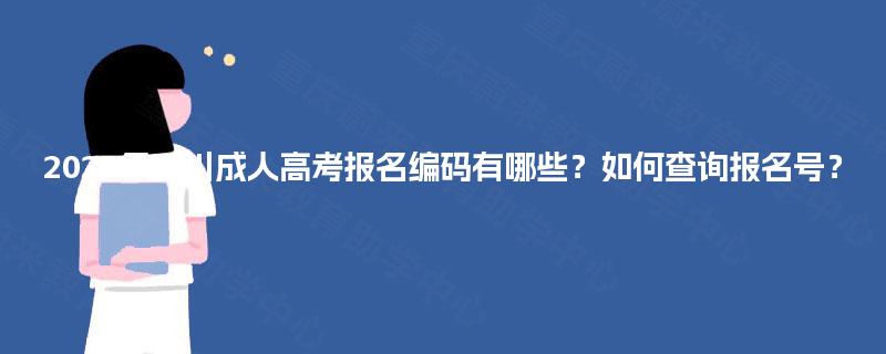 2025年四川成人高考报名编码有哪些？如何查询报名号？