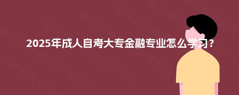 2025年成人自考大专金融专业怎么学习？
