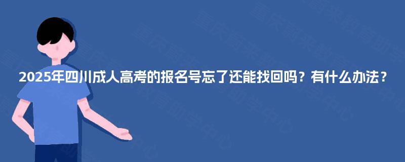2025年四川成人高考的报名号忘了还能找回吗?有什么办法? 2025年四川成人高考的报名号忘了还能找回吗?有什么办法?