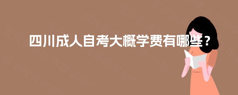 四川成人自考大概学费有哪些？