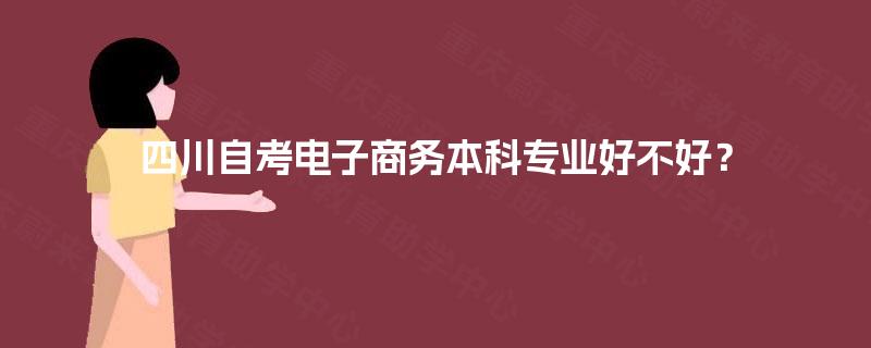 四川自考电子商务本科专业好不好？