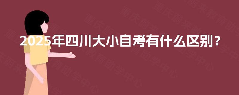 2025年四川大小自考有什么区别？