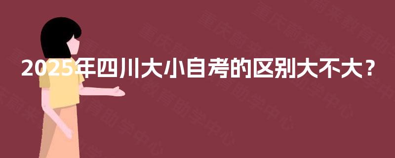 2025年四川大小自考的区别大不大？