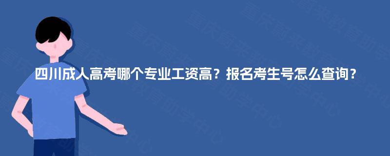 四川成人高考哪个专业工资高?报名考生号怎么查询? 四川成人高考哪个专业工资高?报名考生号怎么查询?