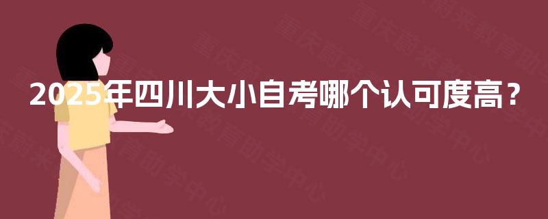 2025年四川大小自考哪个认可度高？