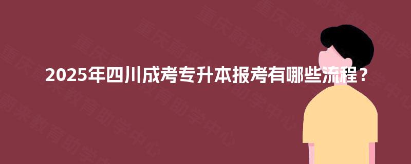 2025年四川成考专升本报考有哪些流程？