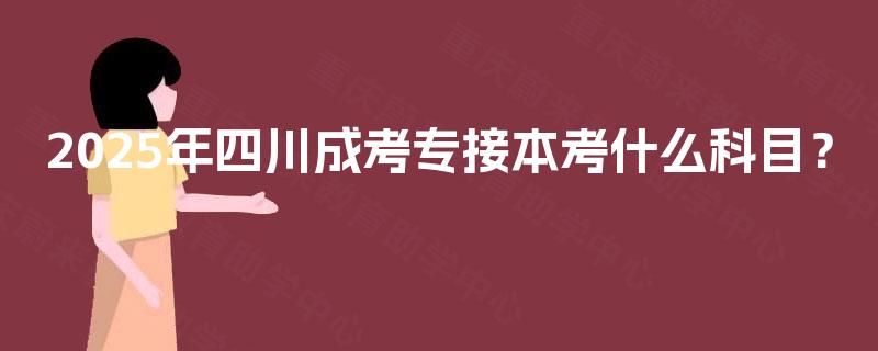 2025年四川成考专接本考什么科目？