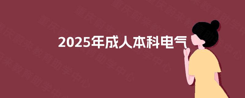 2025年成人本科电气