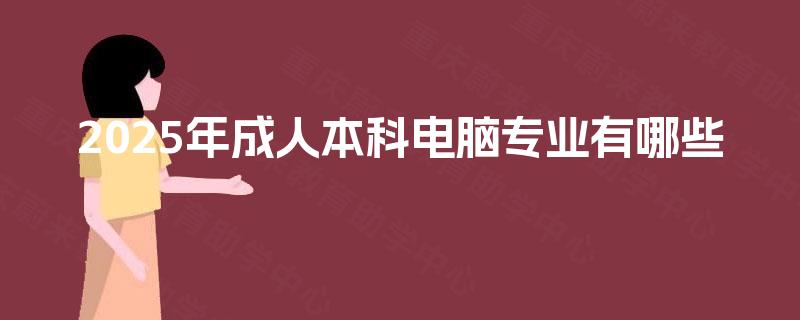 2025年成人本科电脑专业有哪些