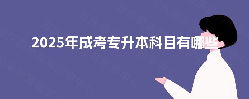 2025年成考专升本科目有哪些 2025年成考专升本科目有哪些