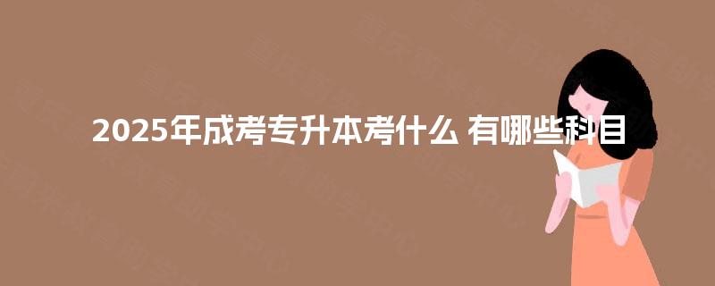 2025年成考专升本考什么 有哪些科目 2025年成考专升本考什么 有哪些科目