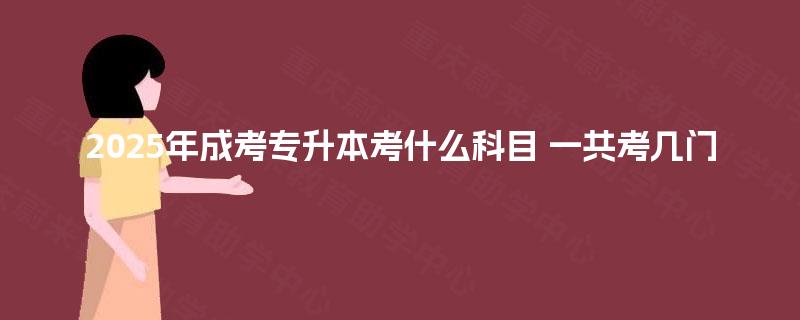 2025年成考专升本考什么科目 一共考几门