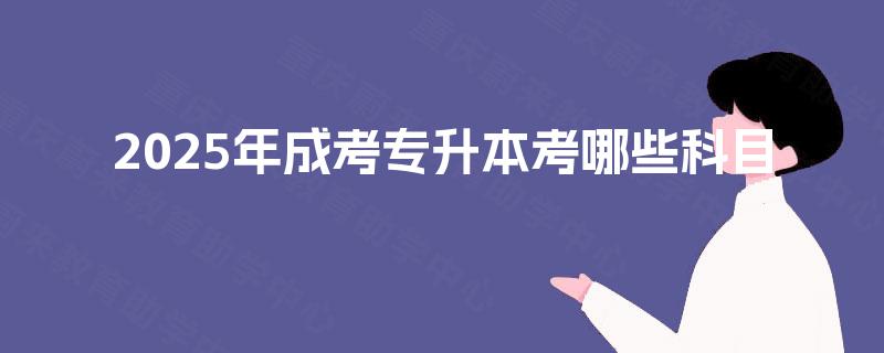 2025年成考专升本考哪些科目 2025年成考专升本考哪些科目