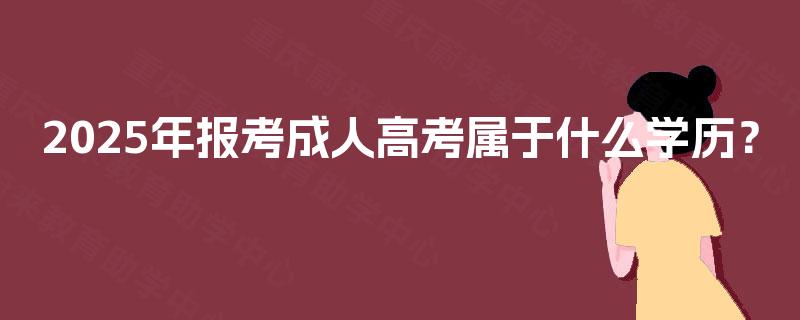 2025年报考成人高考属于什么学历？