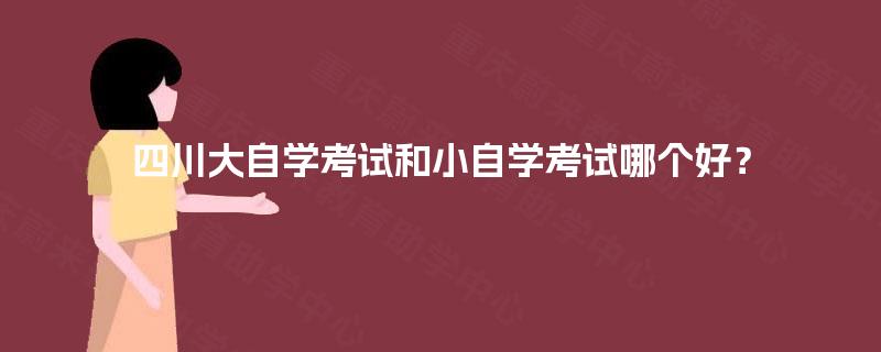 四川大自学考试和小自学考试哪个好？