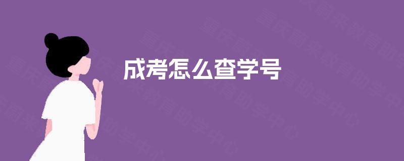 成考怎么查学号 成考怎么查学号