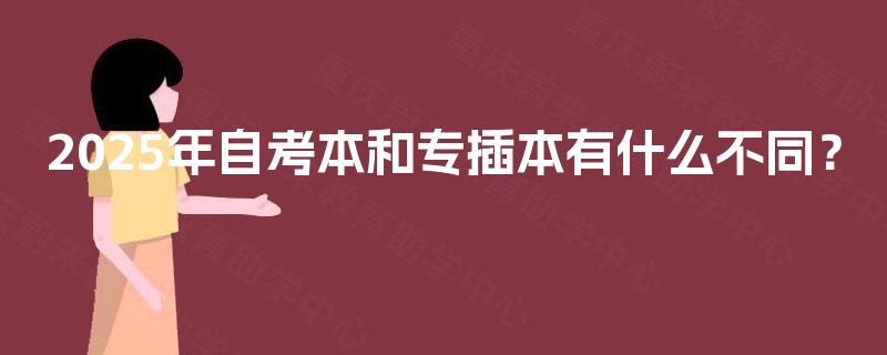 2025年自考本和专插本有什么不同？