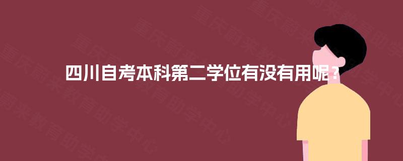 四川自考本科第二学位有没有用呢？