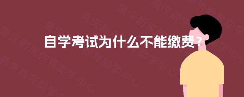 自学考试为什么不能缴费？