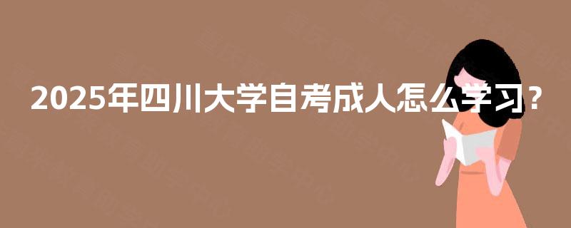 2025年四川大学自考成人怎么学习？