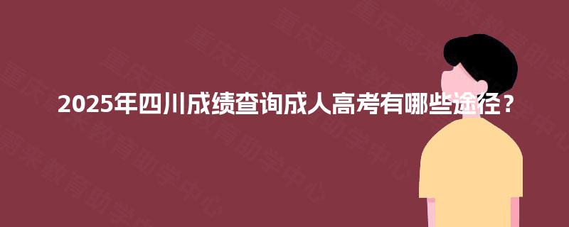 2025年四川成绩查询成人高考有哪些途径？