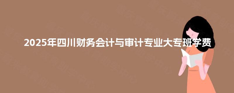 2025年四川财务会计与审计专业大专班学费