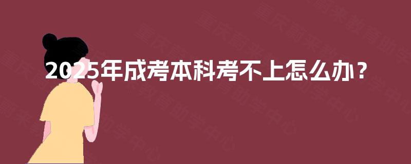 2025年成考本科考不上怎么办？