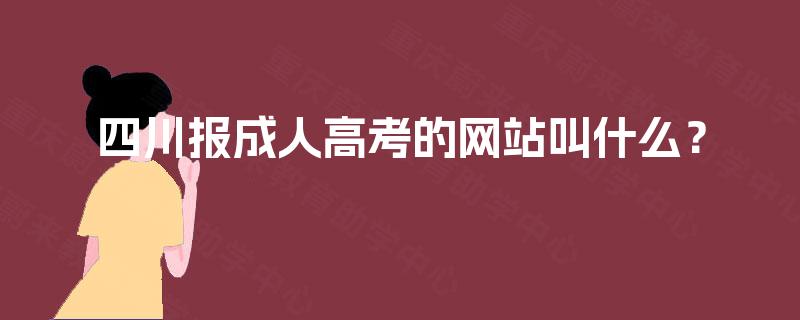 四川报成人高考的网站叫什么？