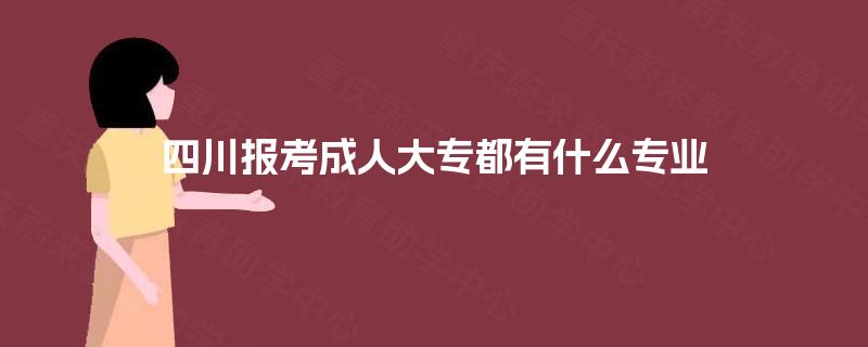 四川报考成人大专都有什么专业