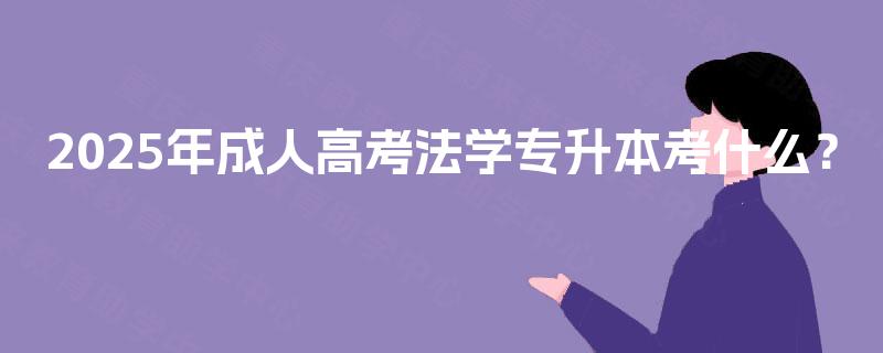 2025年成人高考法学专升本考什么？