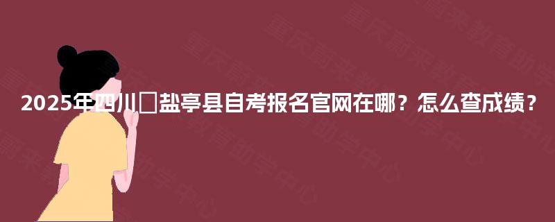 2025年四川盐亭县自考报名官网在哪?怎么查成绩? 2025年四川盐亭县自考报名官网在哪?怎么查成绩?