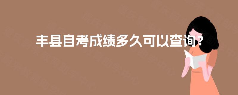 丰县自考成绩多久可以查询？