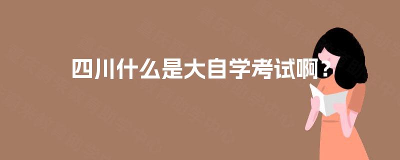 四川什么是大自学考试啊？
