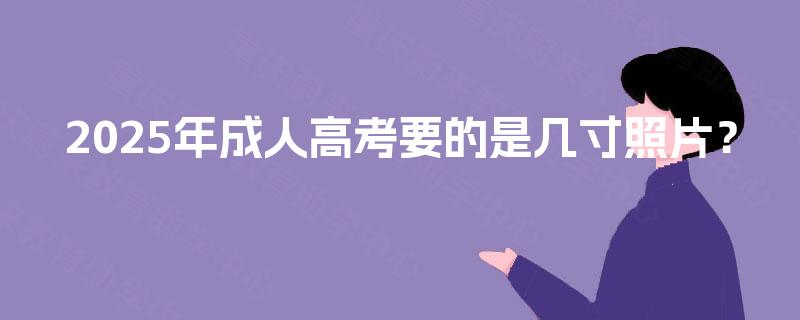 2025年成人高考要的是几寸照片？